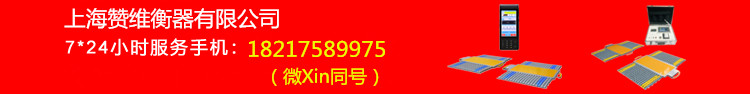 çµå­æ±½è½¦è¡¡|çµå­å°ç§¤|çµå­ç§¤|çµå­åç§¤|çµå­å¤©å¹³|çµå­å°ç£|ç§°éä»ªå¨